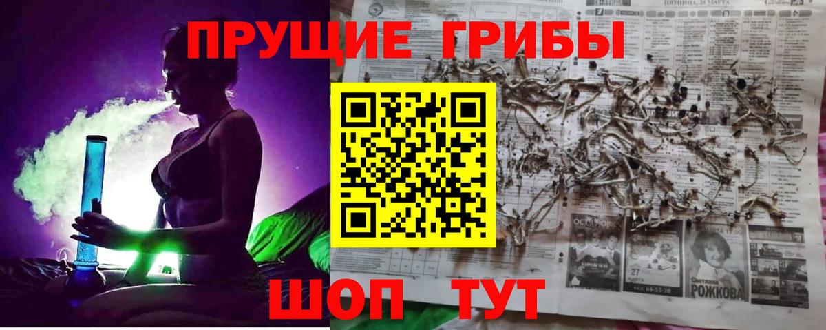 Звенигород  Галлюциногенные грибы Magic Shrooms  закладка  Вход с VPN 